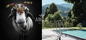 AMRAI Suites AMRAI Suites
