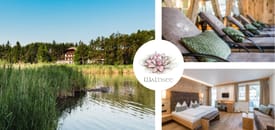 Hotel WALDSEE Hotel WALDSEE
